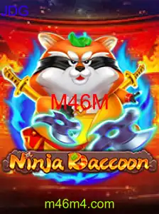 NinjaRaccoon